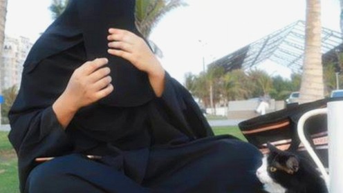 国产网红精品火爆出圈,娱乐吃瓜新素材全网疯传