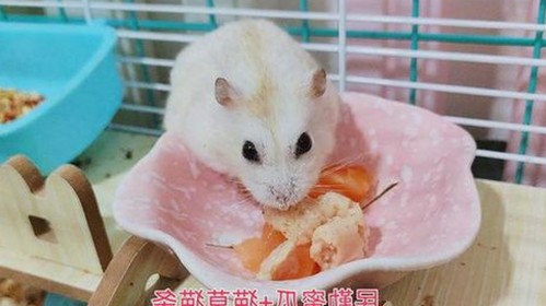 黄明昊娱乐圈趣事大揭秘，吃瓜直播和表情包全汇总